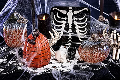 Boston International Halloween Ceramic Serving Platter, 10 x 10-Inches, Skeleton Torso,KAC20383