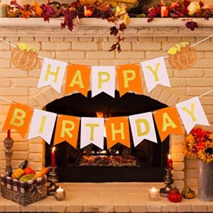 Fall Pumpkin Happy Birthday Banner for Thanksgiving Fall Pumpkin Themed Birthday Party Decorations Supplies