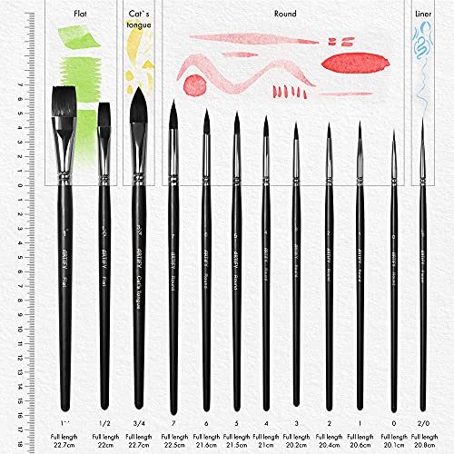 ARTIFY 12 Pieces Watercolor Paint Brushes, Intermediate Series, Synthetic Nylon Brushes for Watercolor, Acrylic, Gouache & Oil Painting, Includes Round, Flat, Cat's Tongue