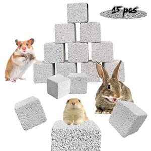 pinvnby 15 pcs rabbits lava blocks bunny teeth grinding stone small animal mineral calcium stone chews toy for hamsters,chinchillas and parrot