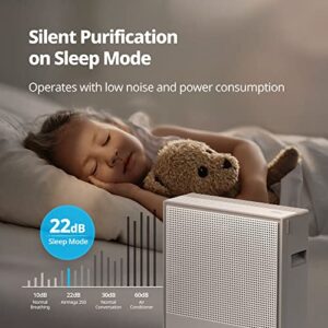 Coway Airmega 250 Smart Air Purifier, True HEPA Air Purifier with Smart Technology, Covers 930 sq. ft.