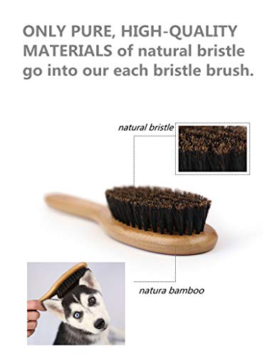 Patina Dog Cat Brush for Shedding, Natural Bamboo Boar Bristles Brush, Pet Grooming Supplies for Short and Long Haired Dogs Cats, Gentle Easy Grooming Massage, Japanese design