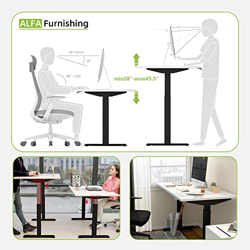 ALFA FURNISHING Quick Install Standing Desk Frame Dual Motor Electric Sit to Stand Desk Base Stand Up Desk Legs for 43-79 Inch Desktop, with 4 Pre-Set Memory (Frame Only)