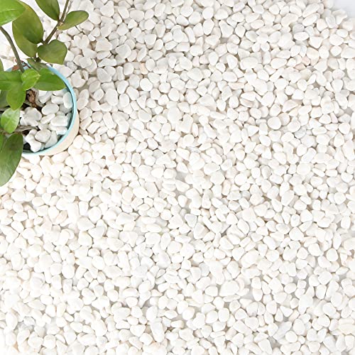 Anothera 18-lb Bulk Bag White Pebbles 1/2" Size Aquarium Gravel Outdoor Garden Paving Plant Decorative Stones