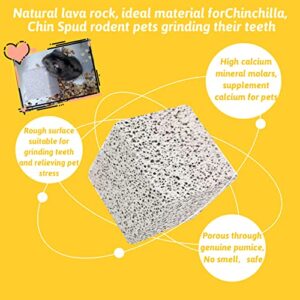 Hamiledyi 20 pcs Chinchilla Lava Blocks Rabbit Chew Toys Bunny Lava Teeth Grinding Square Stone Small Animal Mineral Calcium Stone for Hamsters,Chinchillas,Parrot