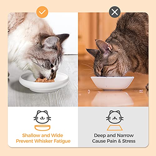 ComSaf Cat Food Water Bowl, Wide Shallow Ceramic Cat Dish, Non Spill Pet Bowl,10oz, Pack of 2