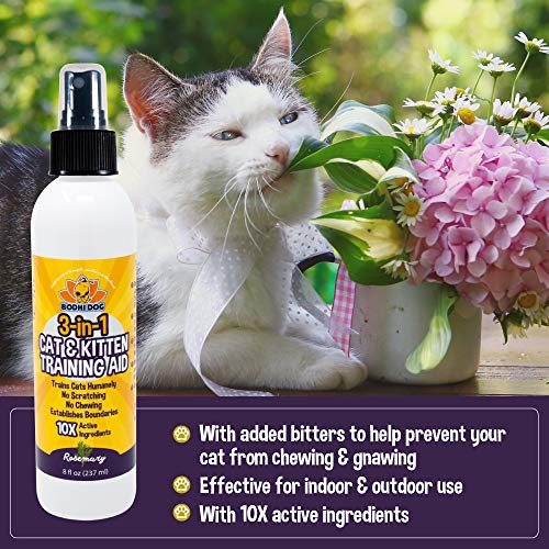 3-in-1 Cat & Kitten Training Aid with Bitter | Cat Training Spray for Indoor and Outdoor Use | Anti Scratch Furniture Protector | Establish Boundaries & Keep Cat Off | Made in The USA (8oz)