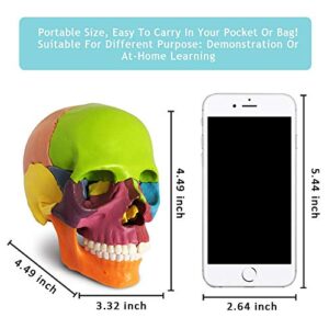 2023 New Anatomy Skull Model 15 Parts Human Anatomy Exploded Skull Detachable Palm-Sized Mini Human Color Medical Skull Model,Medical Dental Clinic Teaching Equipment,Learning with Color Study Manual