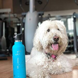 Involve & Evolve Insulated Water Bottle with 3 Lids (Straw Lid) Kids Reusable Double Walled Stainless Steel Flask Metal Stay Wild Thermos 12oz 17oz 20oz 25oz (17 oz, Engraved Blue)