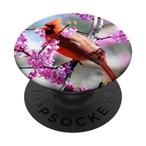 cute red cardinal bird floral design on foliage background popsockets swappable popgrip