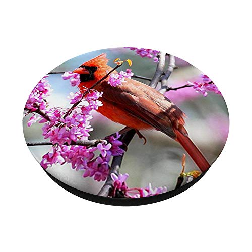 Cute Red Cardinal Bird Floral Design On Foliage Background PopSockets Swappable PopGrip