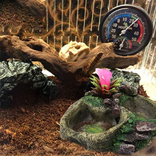 iFCOW Resin Feeder Bowl, Reptile Water Dish Food Bowl Resin Feeder Bowl for Tortoise Lizard