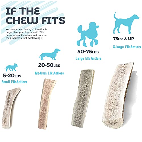hotspot pets Premium Split Elk Antlers for Dogs - 7 Inch Large Antler Dog Chews (2 Pack) Naturally Shed Antler Bone for Large Breed Aggressive Chewers - Made in USA - Promotes Dental Hygiene