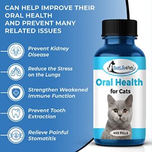 BestLife4Pets Oral Health for Cats - Cat Dental Care Supplement Anti inflammatory Pain Relief for Stomatitis Gingivitis and Gum Disease Cat Supplies for Dental Care - Easy to Use Pills (450 ct)