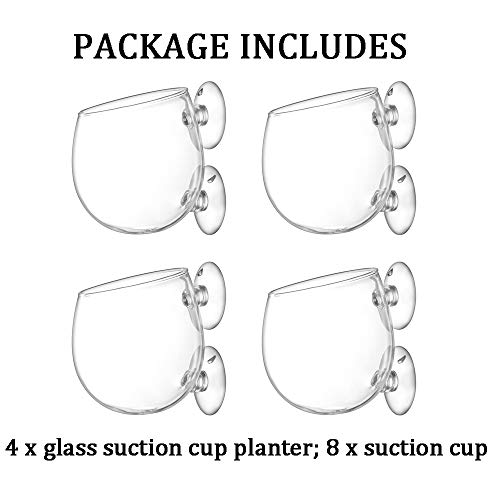 Suction Cup Planter, 4Pcs Magnetic Suction Cup Window Aquarium, Glass Vase Plant Pots Decorations Fish Tank for Aquascape Aquarium