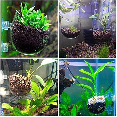 Suction Cup Planter, 4Pcs Magnetic Suction Cup Window Aquarium, Glass Vase Plant Pots Decorations Fish Tank for Aquascape Aquarium