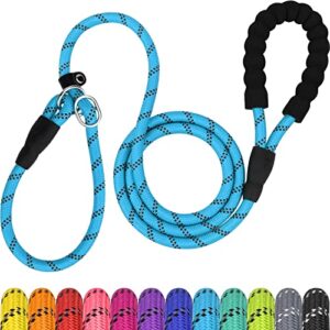 tagme 6 ft slip lead dog leash,12 colors,reflective strong rope slip leash with padded handle,durable no pulling pet training leash for puppy/small dogs,sky blue