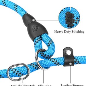 TagME 6 FT Slip Lead Dog Leash,12 Colors,Reflective Strong Rope Slip Leash with Padded Handle,Durable No Pulling Pet Training Leash for Puppy/Small Dogs,Sky Blue