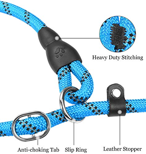 TagME 6 FT Slip Lead Dog Leash,12 Colors,Reflective Strong Rope Slip Leash with Padded Handle,Durable No Pulling Pet Training Leash for Puppy/Small Dogs,Sky Blue