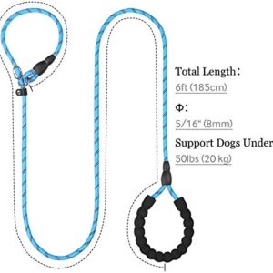 TagME 6 FT Slip Lead Dog Leash,12 Colors,Reflective Strong Rope Slip Leash with Padded Handle,Durable No Pulling Pet Training Leash for Puppy/Small Dogs,Sky Blue