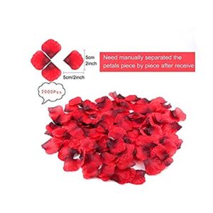 Rose Gold Will you marry me Balloons Marry Me Balloons and 2000 PCS Dark-Red Silk Rose Petals Wedding Flower ,Perfect for Marriage Proposal Ideas Wedding Love Wedding Party Decorations
