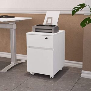 boahaus osaka file cabinet, 2 drawers, 4 plastic casters
