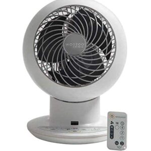 IRIS USA Woozoo Globe Multi-Directional 5-Speed Timer Oscillating Fan w/Remote