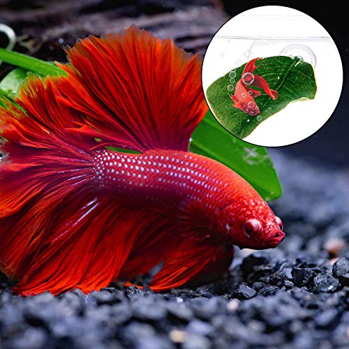 Fashionclubs 4pcs Betta Bead Leaf Hammock, Silk Betta Fish Leaf Hammocks Pad Lounger Toys Lightweight and Realistic Fish Hideout Plastic Aquarium Plants Accessories for Fish Tank Decorations