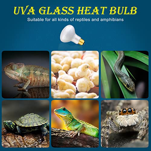 HANJION 2 Pack 75W Reptile UVA Infrared Basking Spot Lamp, Sun Glow Daylight Heat Bulb, Soft White Glass Light for Reptile & Amphibian, Bearded Dragon, Lizard, Tortoise, Hedgehogs