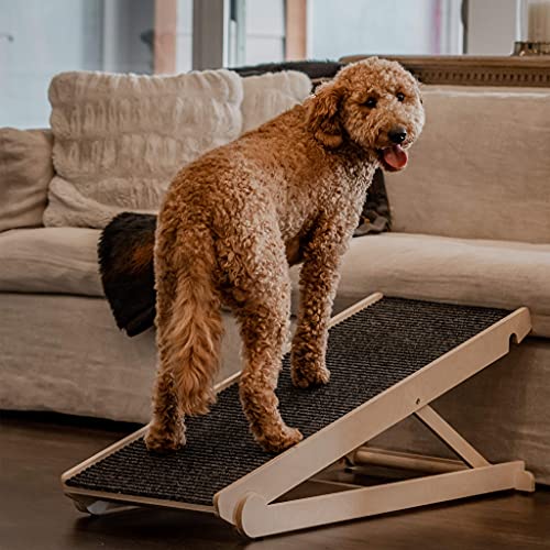 Pawnotch USA Made Adjustable Dog Ramp for All Dogs and Cats - Dog ramp for Couch or Bed with Paw Traction Mat - 40" Long and Adjustable from 14” to 24” - Rated for 200LBS - Dog Ramp for Small Dogs