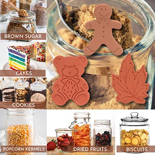 Brown Sugar Bear Brown Sugar Keeper Softener Canister and Containers Moisture Absorbers Bundle