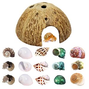 hermit crab shell growth seashells 15 pcs (7 types) natural coconut shells hut for fish tank decor hide reptile hideouts