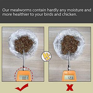 HANDPOINT 11 lbs Dried Mealworms, 100% Non-GMO Natural High-Protein,Treats for Chicken, Fish, Bird Food(11LB)