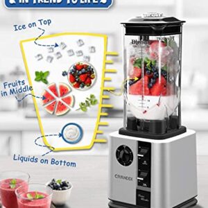 CRANDDI Unique Commercial Blenders with 1800 Watt and 80oz BPA-Free Container, Professional High-Speed Countertop Blenders for Smoothies,Self-Cleaning,K95 New Silver