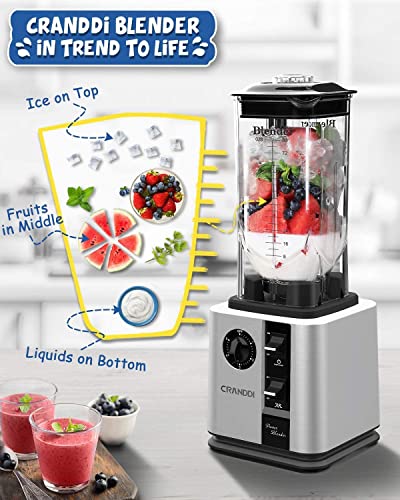 CRANDDI Unique Commercial Blenders with 1800 Watt and 80oz BPA-Free Container, Professional High-Speed Countertop Blenders for Smoothies,Self-Cleaning,K95 New Silver