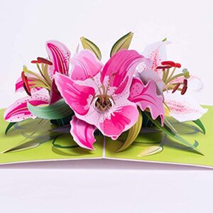 truance pop up greeting card lily flower- 3d cards for birthday, anniversary, mothers day, thank you cards, card for mom, congratulation card, love card, all occasion