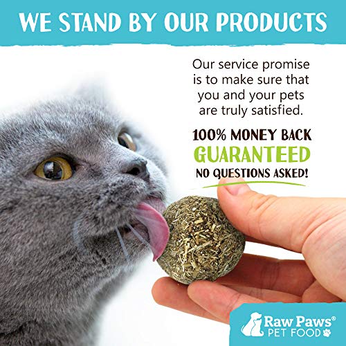 Raw Paws Natural Catnip Ball for Cats (6-ct) - Interactive Cat Toy for Indoor Cats - Cat Ball Toy - Kitten Toys - Cat Nip Ball Cat Toy - Cat Lick Ball - Cat Nip Cat Toys Balls - Catnip Ball Toy