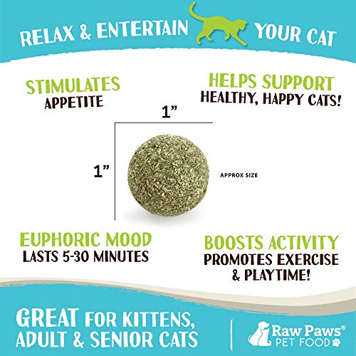 Raw Paws Natural Catnip Ball for Cats (6-ct) - Interactive Cat Toy for Indoor Cats - Cat Ball Toy - Kitten Toys - Cat Nip Ball Cat Toy - Cat Lick Ball - Cat Nip Cat Toys Balls - Catnip Ball Toy