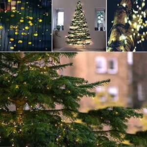 BHCLIGHT Extra-Long 95FT 240 LED Green Wire Christmas String Lights Outdoor/Indoor, Christmas Tree Lights with 8 Modes, Plug in String Lights for Party Christmas Decorations (Warm White)
