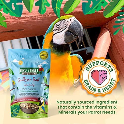 Bird Street Bistro Parrot Food Sample 4 Pack - Parakeet Food - Cockatiel Food - Bird Food - Cooks in 3-15 min w/Natural & Organic Grains - Healthy, Non-GMO Fruits, Healthy Orientated Spices