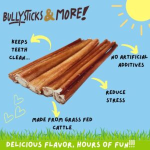 BULLYSTICKS & MORE 6 Inch Bully Sticks (Regular - 16 Pack) | Bully Sticks for Medium Dogs | 100% Grass Fed Beef | Dog Parents Choice Bully Stick Dog Chews | No Hide Bully Bones