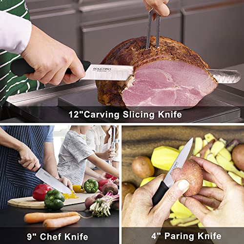 Professional 9 Piece Roll Knife Set, BBQ Knife Set, Knife Roll, Japanese Style Premium Stainless Steel Chef Knife Set, Kitchen Knife Set in One Set with Carrying Bag (Kitchen Knives Set)