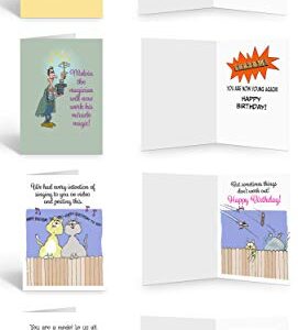 Stonehouse Collection 16 Assorted Funny Birthday Cards w/ Envelopes, Full Color Front & Inside Birthday Cards, Friendly Humor Greeting Cards, Boxed Matte Interior Card Stock Set, US-made, 4.5" x 6.25"