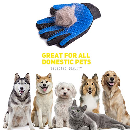 EJG New Version 1 Pair Pet Grooming Gloves with Hair Removal Brush, Deshedding Gloves to Brush and Fur Remover, Dematter Deshedder for Dog, Cat, Horse with Long & Short Fur