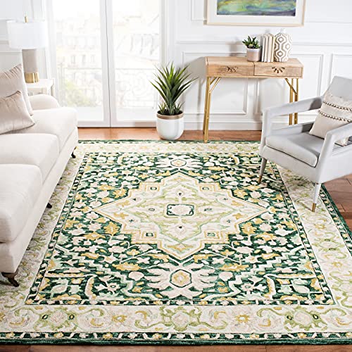 Safavieh Aspen Collection 8' x 10' Green/Ivory APN705Y Handmade Boho Medallion Wool Area Rug