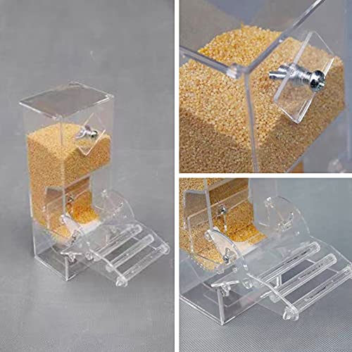 Automatic Bird Seed Feeder with Perch, Acrylic Transparent Parrot Foraging Feeders Cage Accessories for Small and Medium Parrots Parakeets Cockatiels Lovebirds