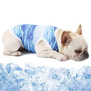 dora bridal dog cooling vest instant pets cooling collar cat chill out ice shirt for dogs puppy cats in summer s (blue)