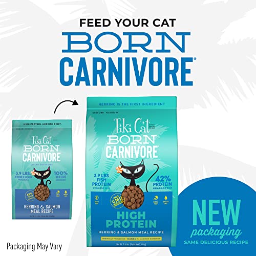 Tiki Cat Born Carnivore High Protein, Herring & Salmon Meal, Grain-Free Baked Kibble to Maximize Nutrients, Dry Cat Food, 5.6 lbs. Bag