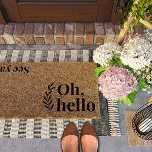 Barnyard Designs 'Oh Hello, See Ya' Doormat Welcome Mat for Outdoors, Large Front Door Entrance Mat, 30x17, Brown