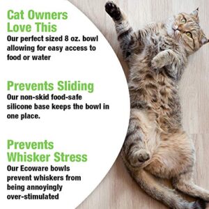 Van Ness Pets EcoWare Whisker-Friendly Cat Bowl, Wide Dish Cat Dish, 8 OZ, Fuschia